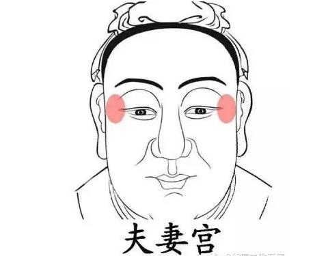 t(y)ԺS̫Ѩ